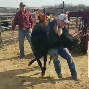 Meet your Posher, Bailey